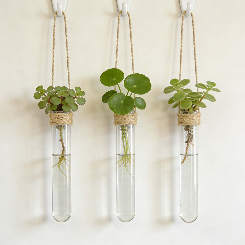 Hanging Planter Basket - Hydroponic Flower Vase Wall-Mounted Test-Tube Vase