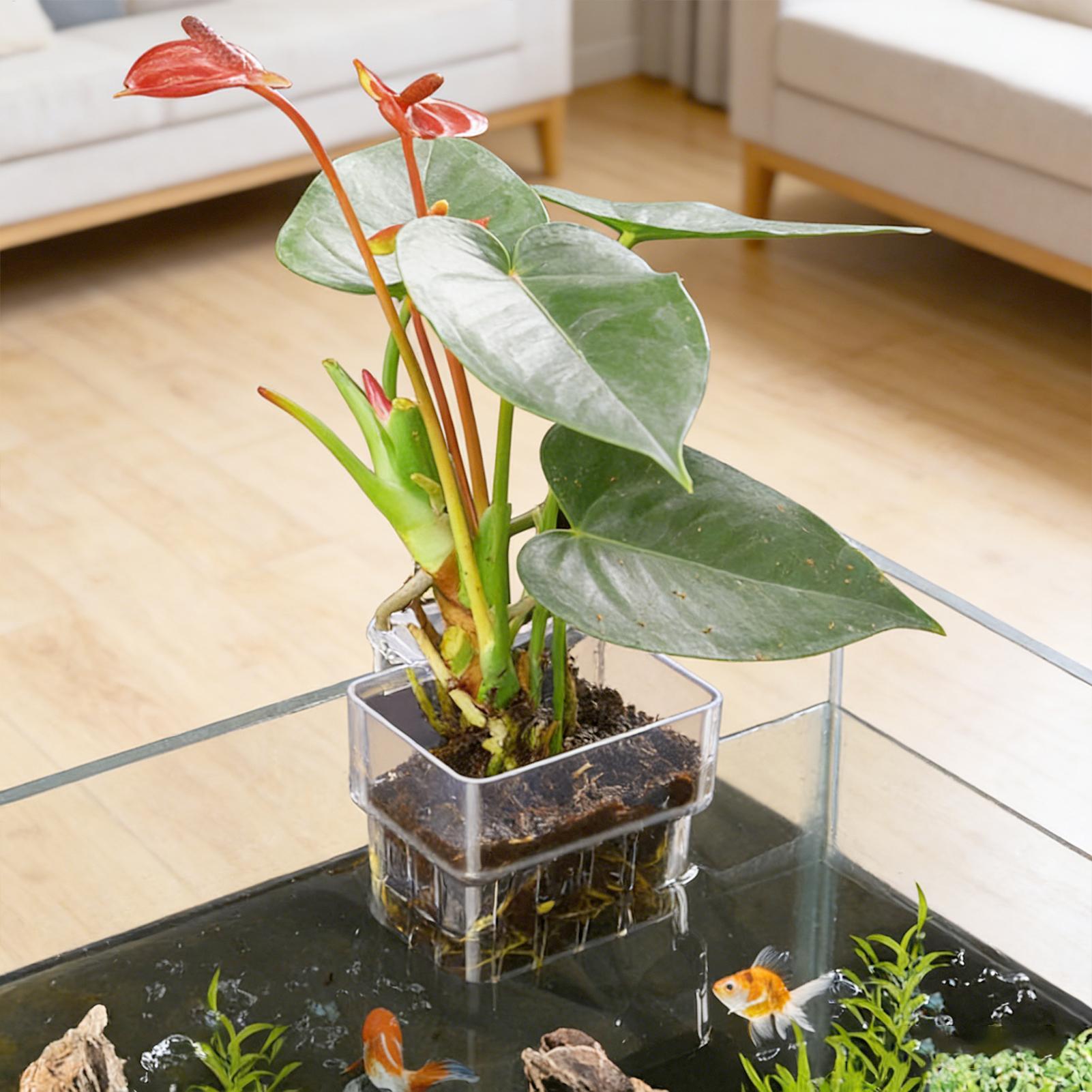 Hanging Planter Basket - Aquarium Plant Basket Transparent Fish Tank