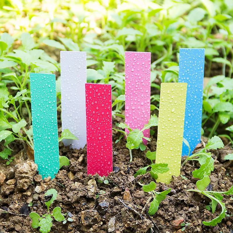 Plant Label Tags - 100pcs Thick 4inch Plant Labels Reusable