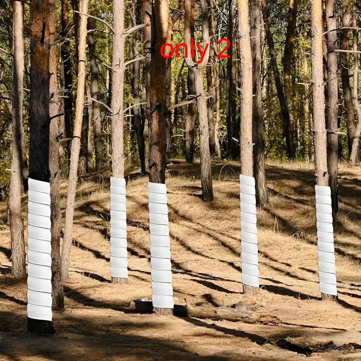 A75K Plant Tree Trunk Protecto - огляд і ціна Gardening Hand Tools B&Q