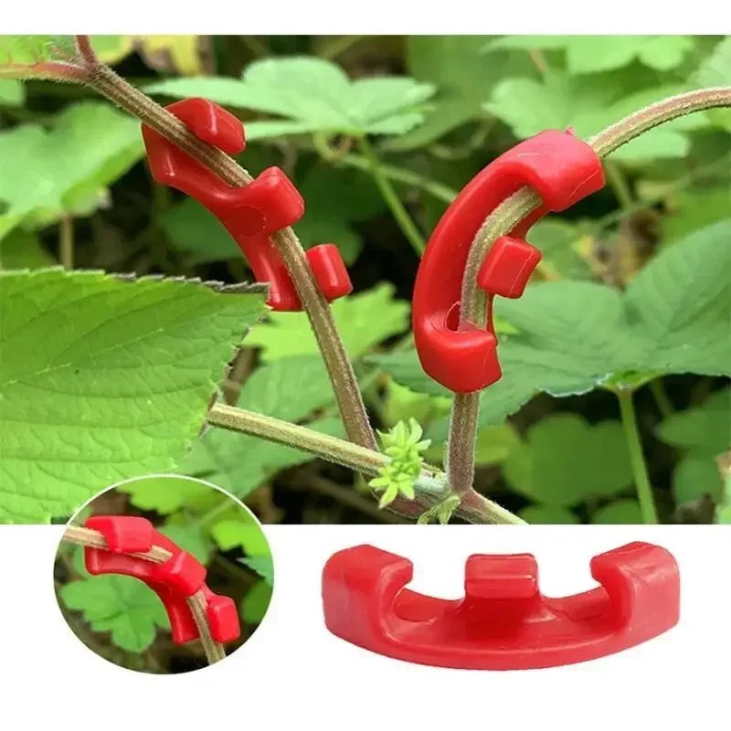 10-100Pcs Low Stress Training  - огляд і ціна Gardening Tools Lowes