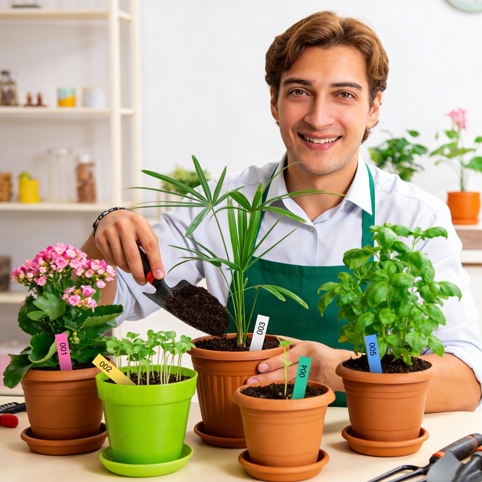 500Pcs Plant Labels Garden Sig - огляд і ціна Plant Label Tags