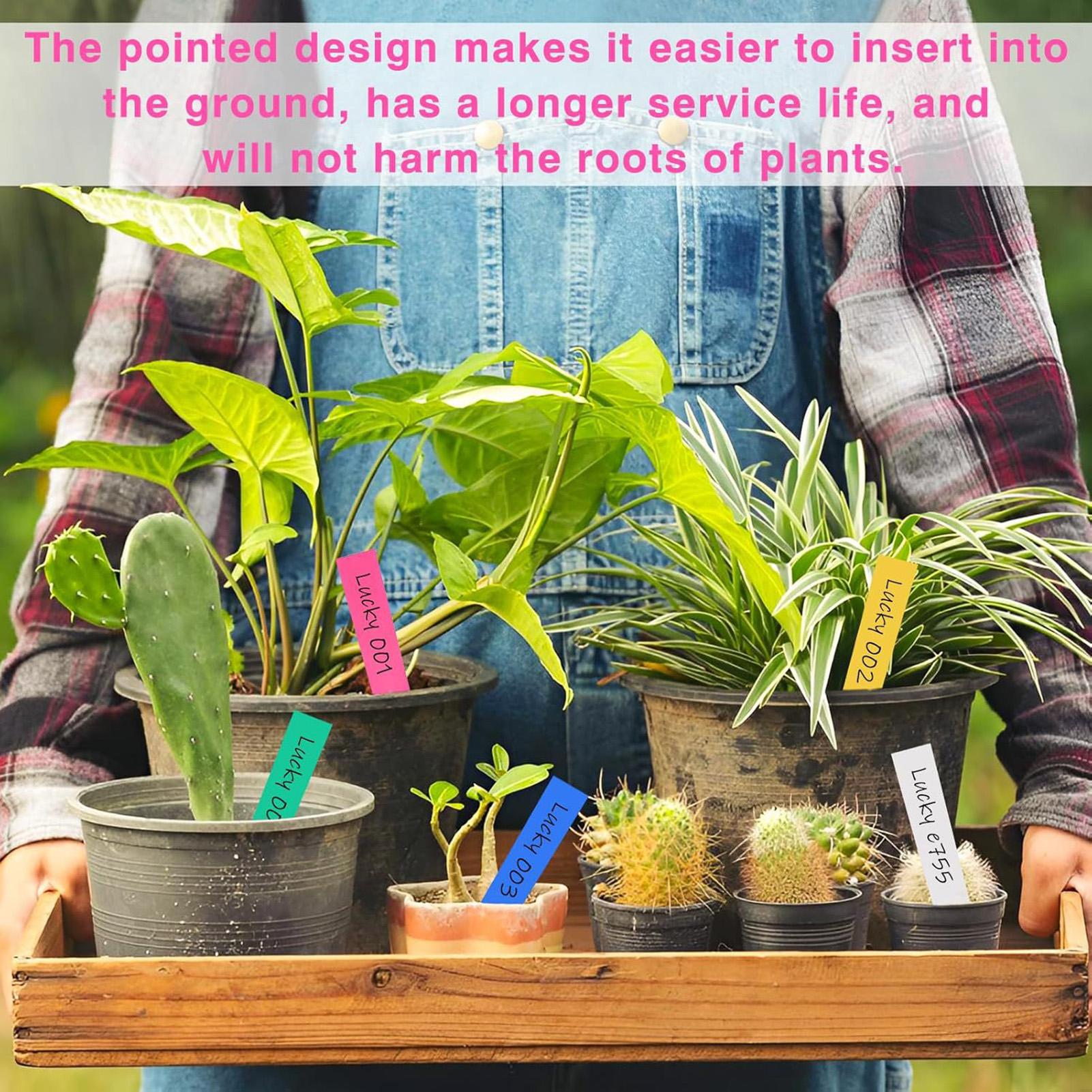 500Pcs Plant Labels Garden Sig - огляд і ціна Plant Label Tags