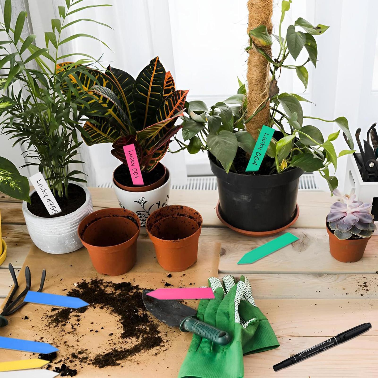 500Pcs Plant Labels Garden Sig - огляд і ціна Plant Label Tags