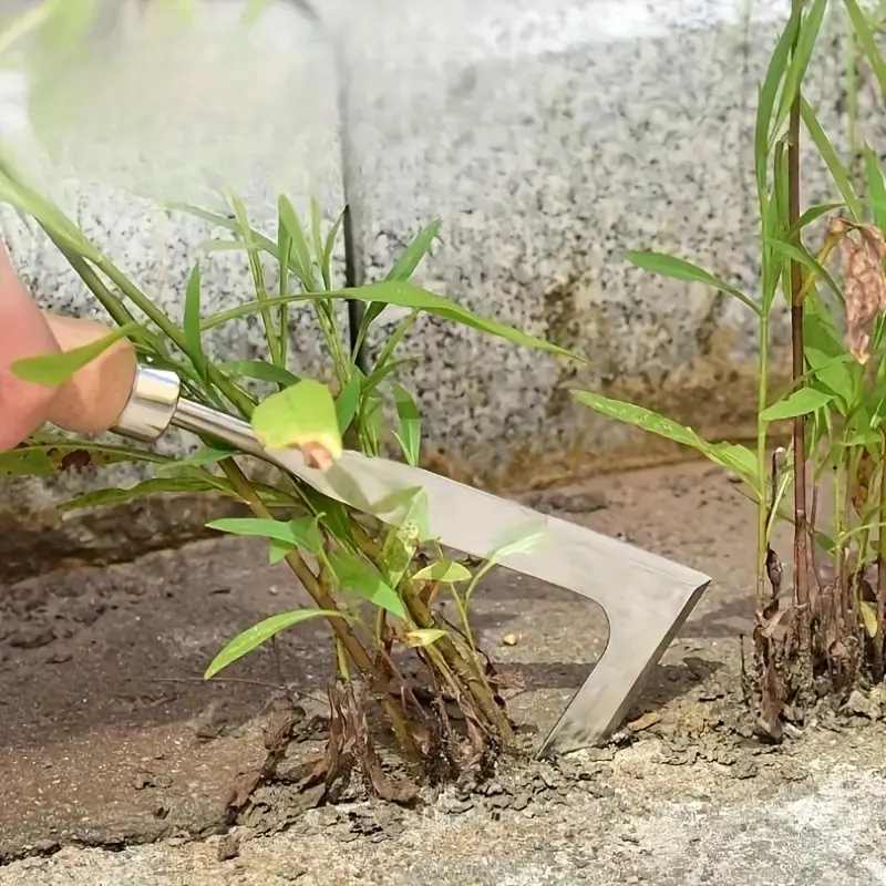Heavy-Duty Carbon Steel Hand S - огляд і ціна Gardening Tools Spade