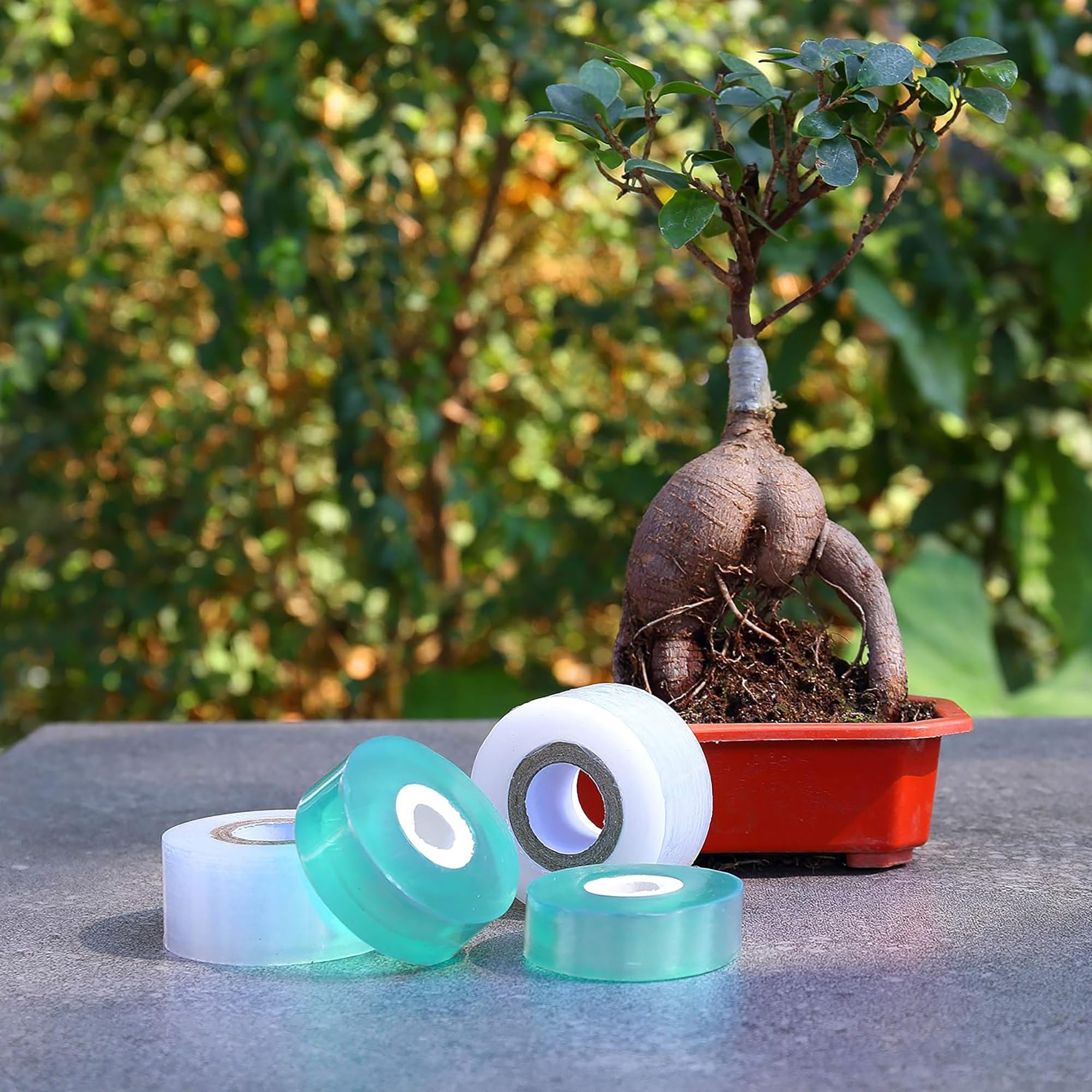 Easy Use Biodegradable Self Ad - огляд і ціна Gardening Tools And Uses