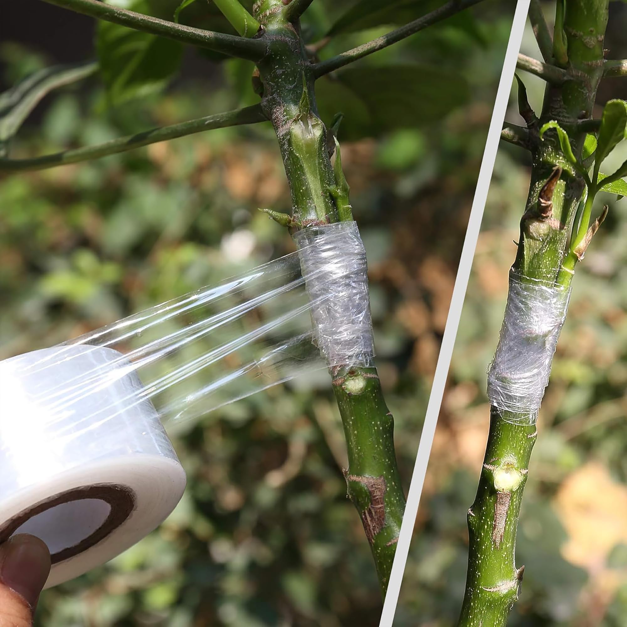 Easy Use Biodegradable Self Ad - огляд і ціна Gardening Tools And Uses