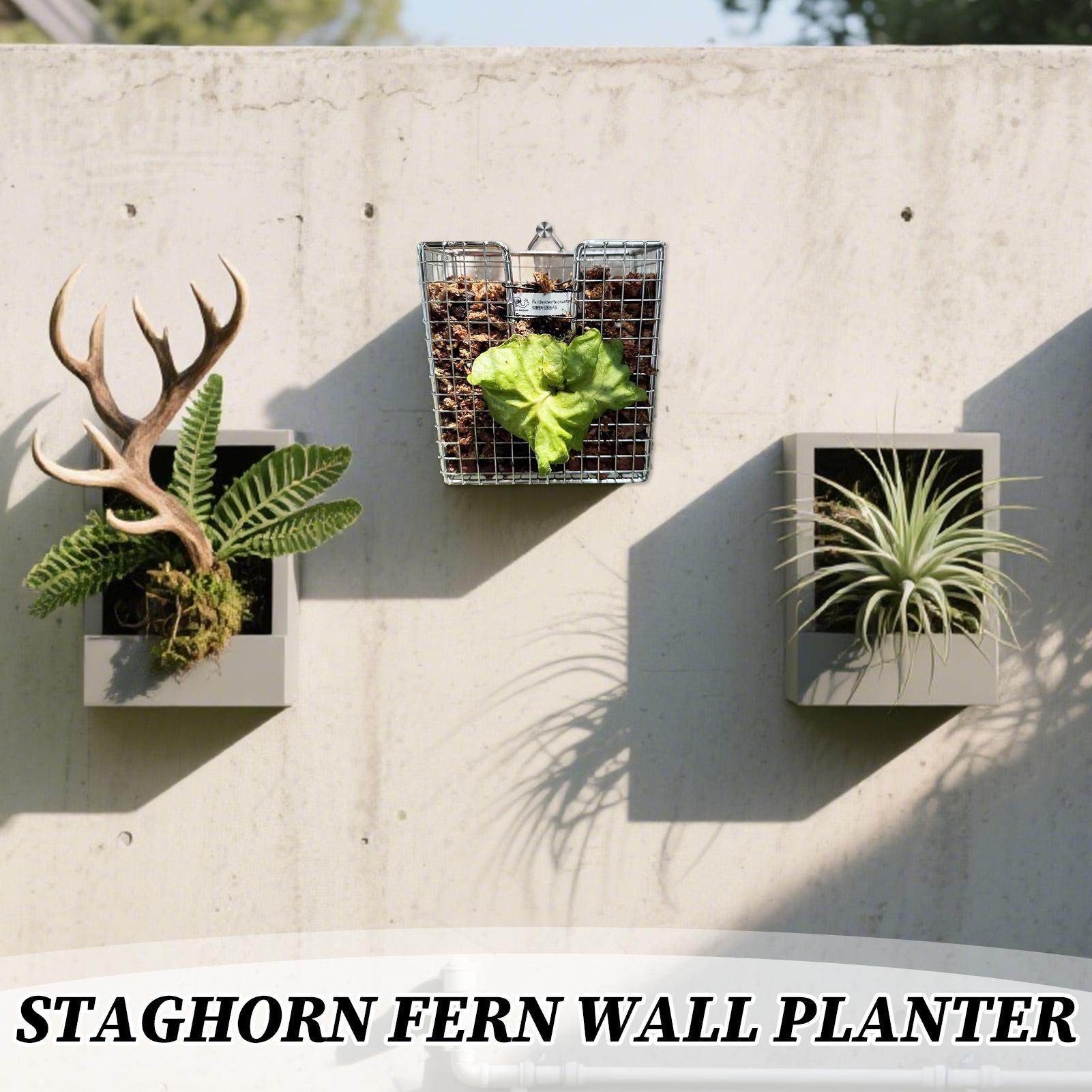 Staghorn Fern Mounting Kit sta - огляд і ціна Hanging Planter Basket