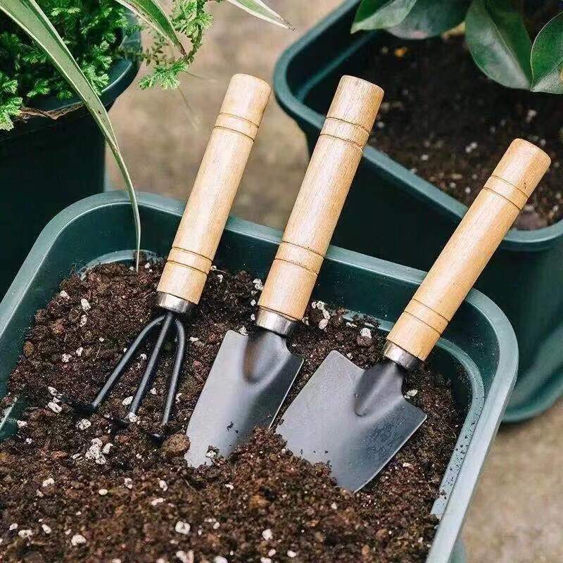 3Pcs Mini Gardening Tool Set w - огляд і ціна Gardening Tools Wooden