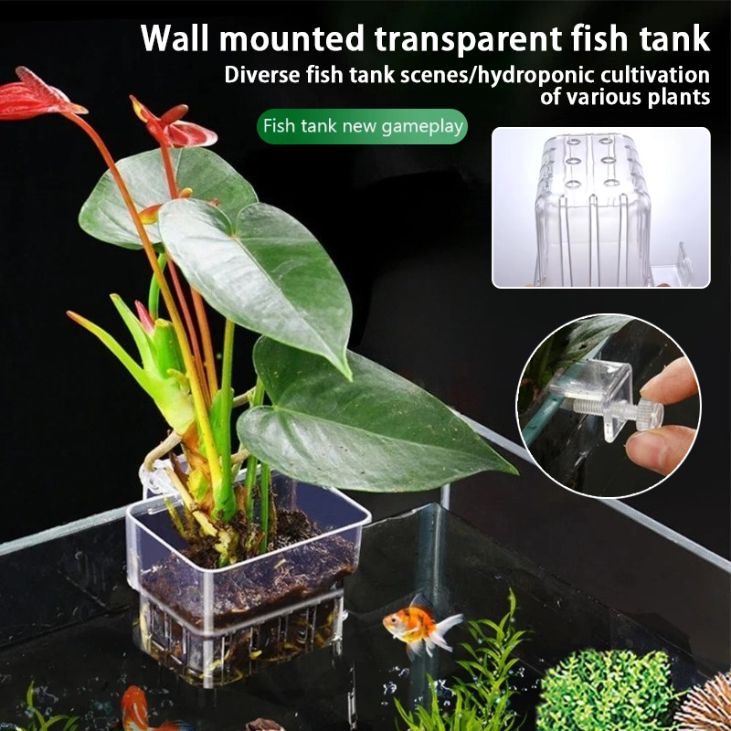 Aquarium Hanging Planter Cups  - огляд і ціна Hanging Planter Basket