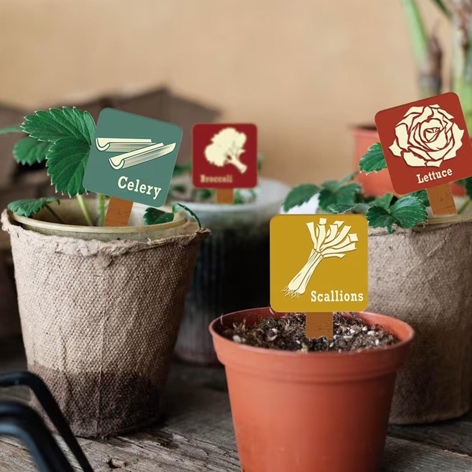 15 Pieces T-shape Signs Tags M - огляд і ціна Plant Label Tags