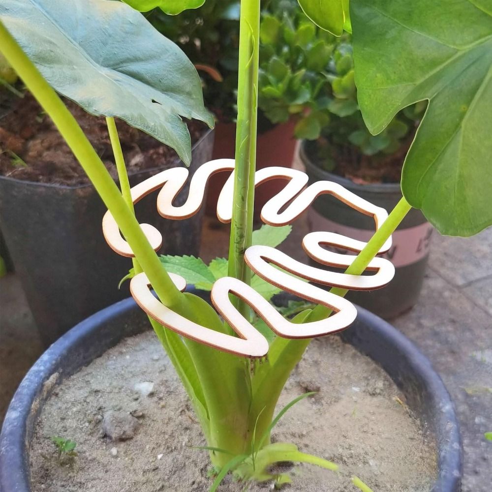 1/2PCS Reusable Turtle Shell B - огляд і ціна Gardening Tools Wooden