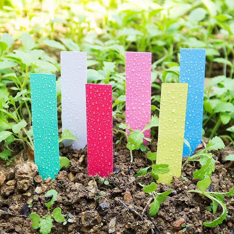 100Pcs Garden Plant Labels Pla - огляд і ціна Plant Label Tags