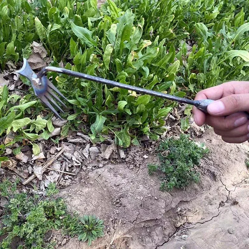 Garden Weeders Grass Hand Weed - огляд і ціна Gardening Tools To Remove Grass