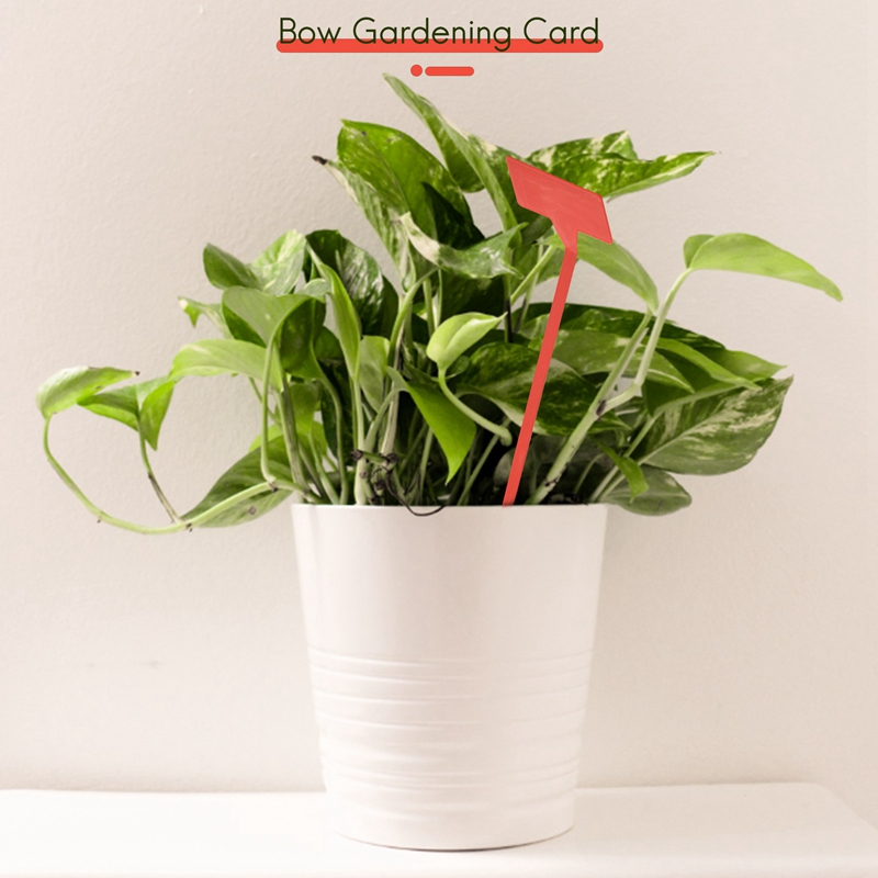 ABYP Gardens Planting Tools 50 - огляд і ціна Plant Label Tags