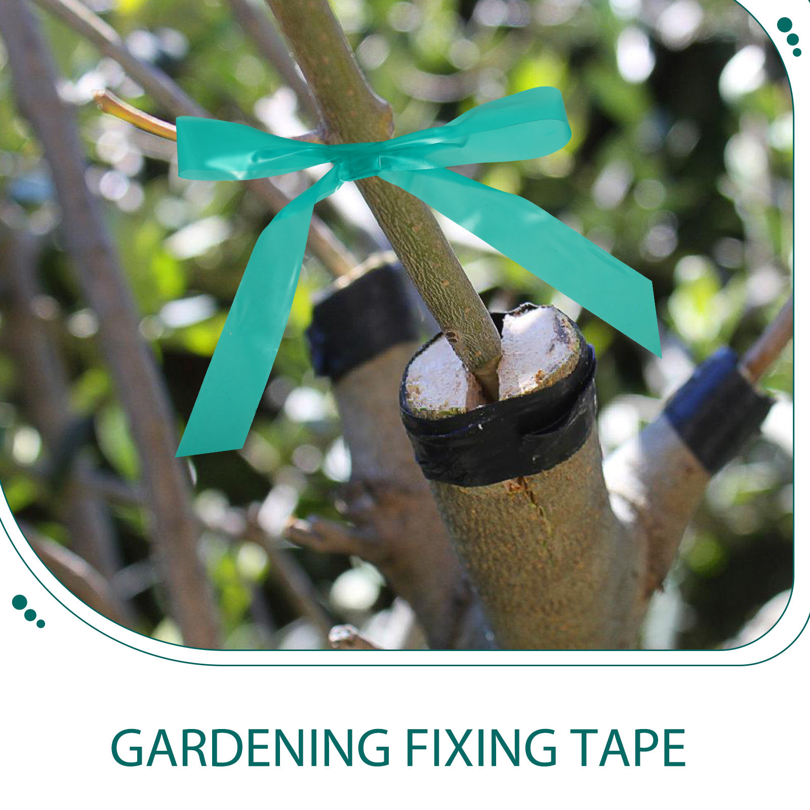 2pcs 2 Rolls Stretchable Graft - огляд і ціна Gardening Tools Repair