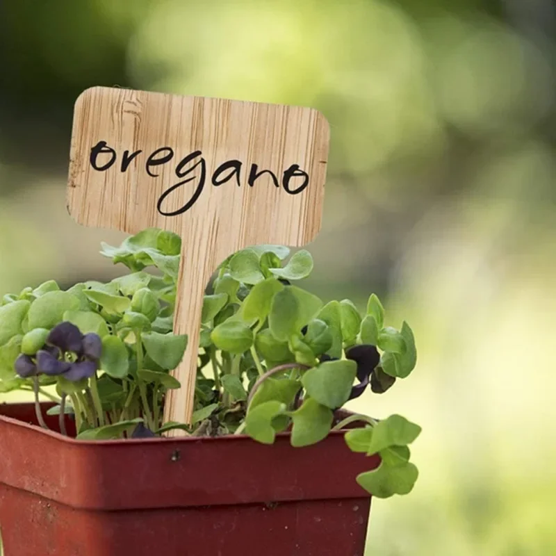 Garden Tags T-Type Bamboo Plan - огляд і ціна Plant Label Tags