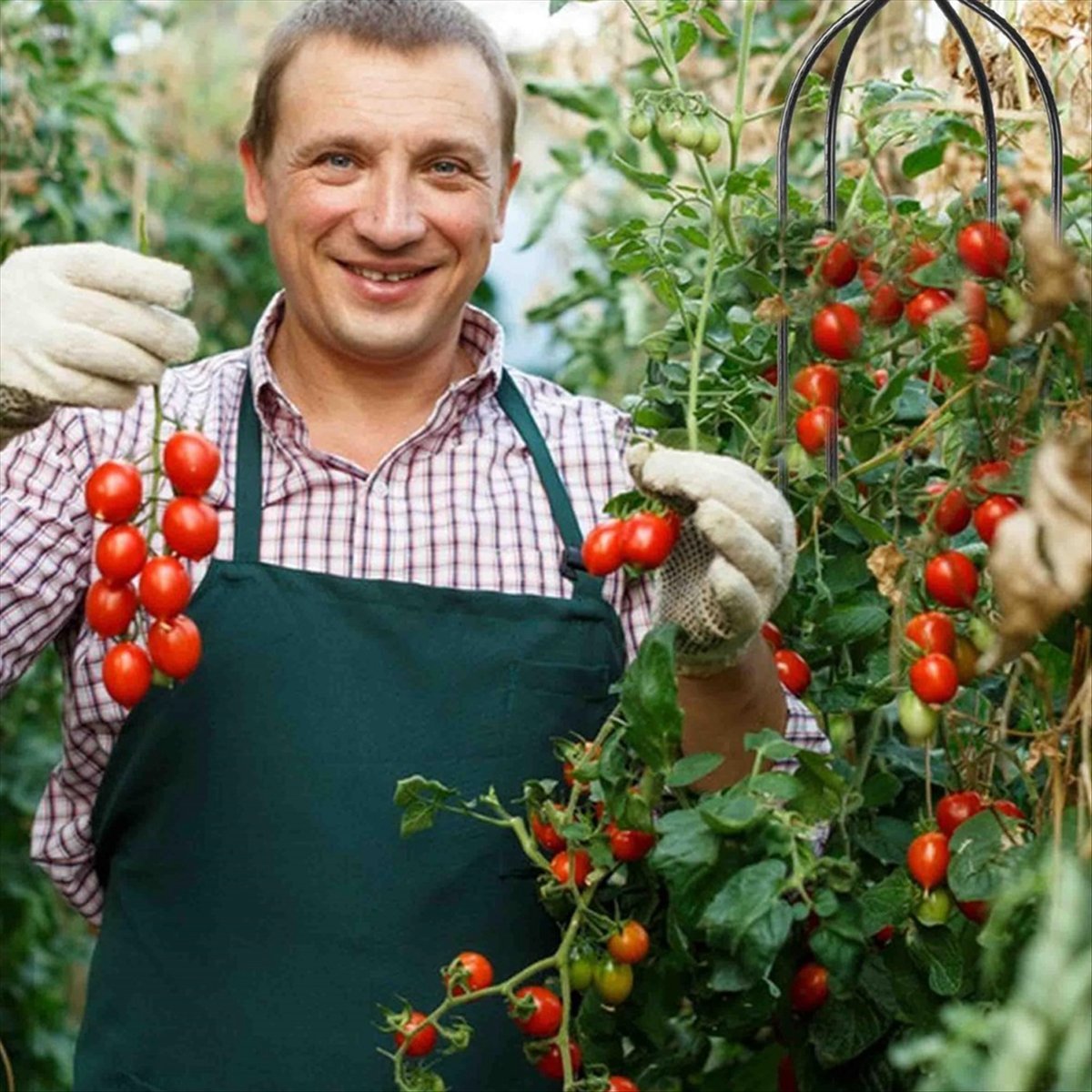 AT16 Climbing Plant Obelisk Tr - огляд і ціна Gardening Hand Tools B&Q