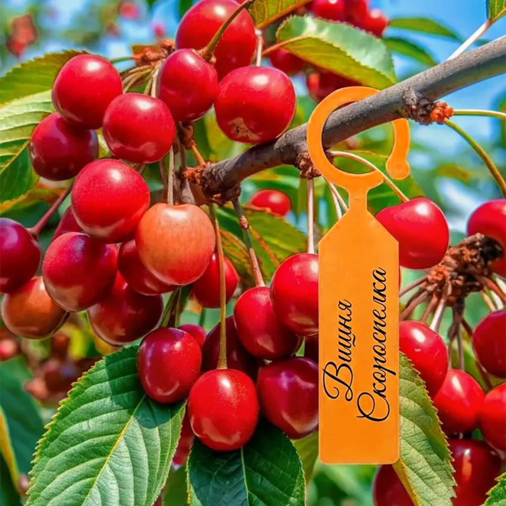 Garden Planting Tag Ring Hook  - огляд і ціна Plant Label Tags