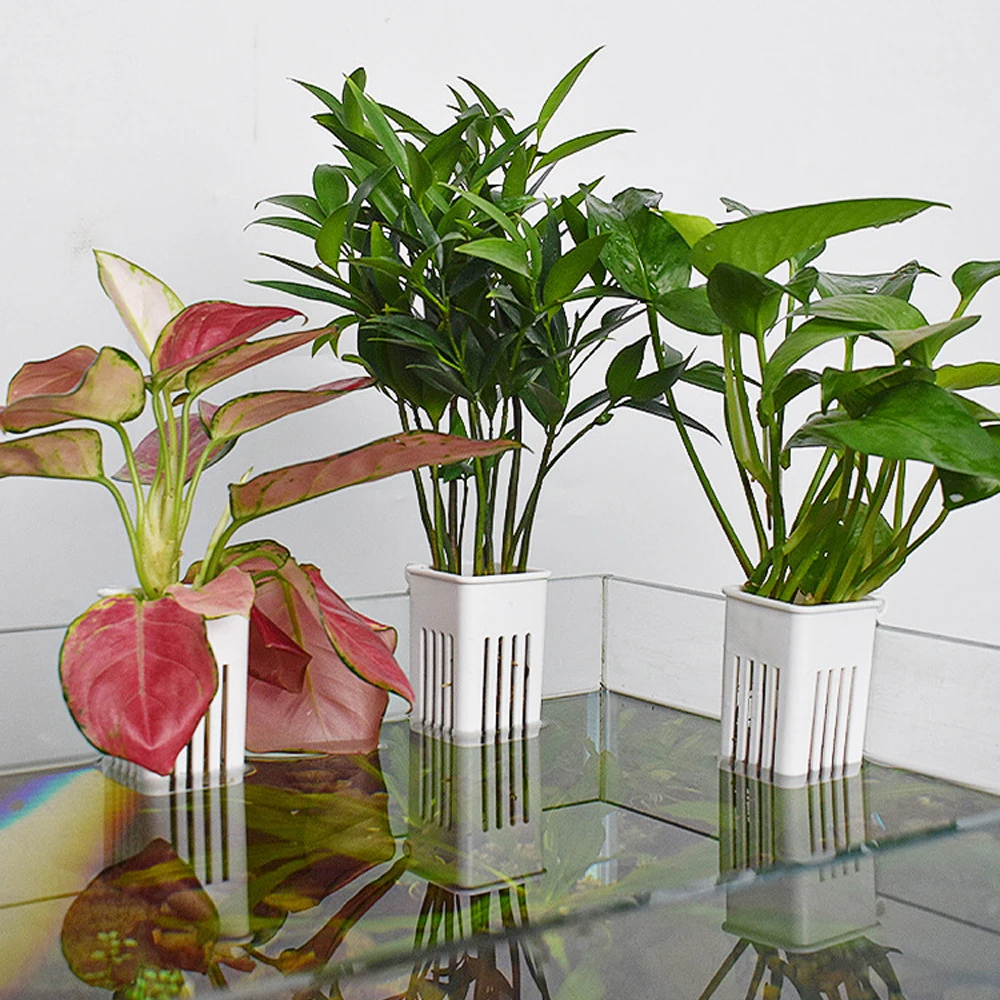 1 PC Aquarium Hydroponic Plant - огляд і ціна Hanging Planter Basket