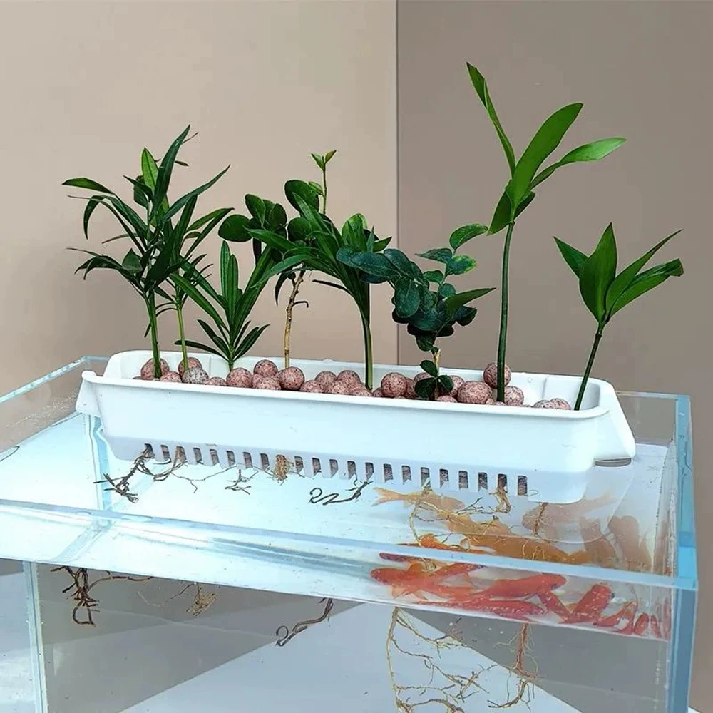 1 PC Aquarium Hydroponic Plant - огляд і ціна Hanging Planter Basket