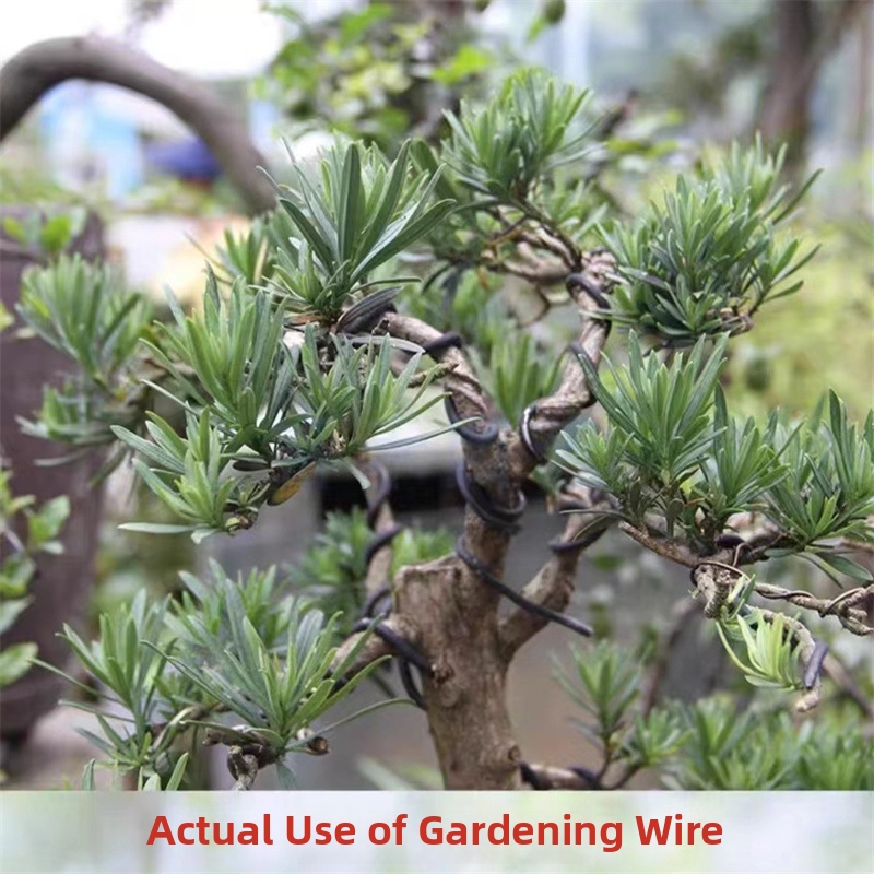 1.5MM Bonsai Wires Aluminum Bo - огляд і ціна Gardening Tools And Uses