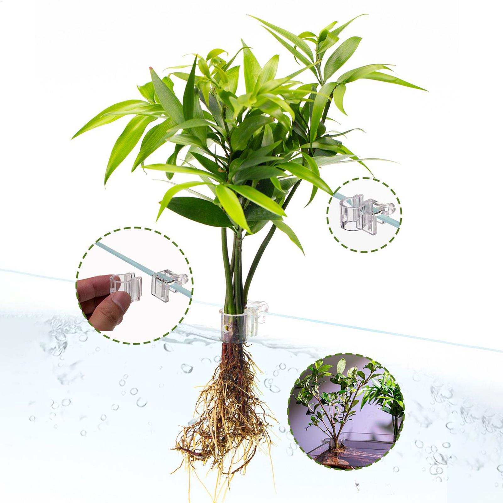 Aquarium Plant Basket Transpar - огляд і ціна Hanging Planter Basket