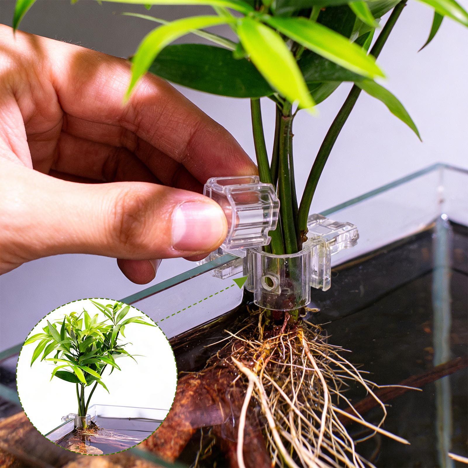 Aquarium Plant Basket Transpar - огляд і ціна Hanging Planter Basket