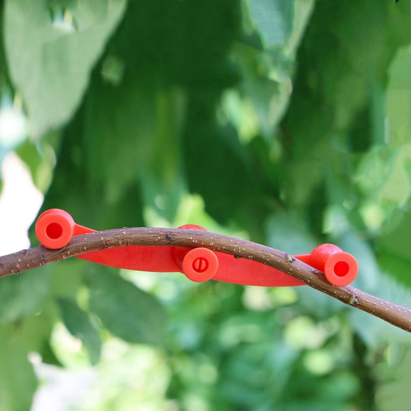 10pcs Plant Training Clips Tre - огляд і ціна Gardening Tools Lowes