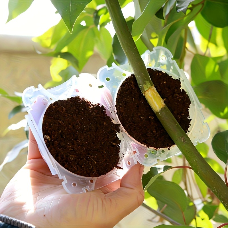 10Pcs High Pressure Plant Root - огляд і ціна Gardening Tools And Uses