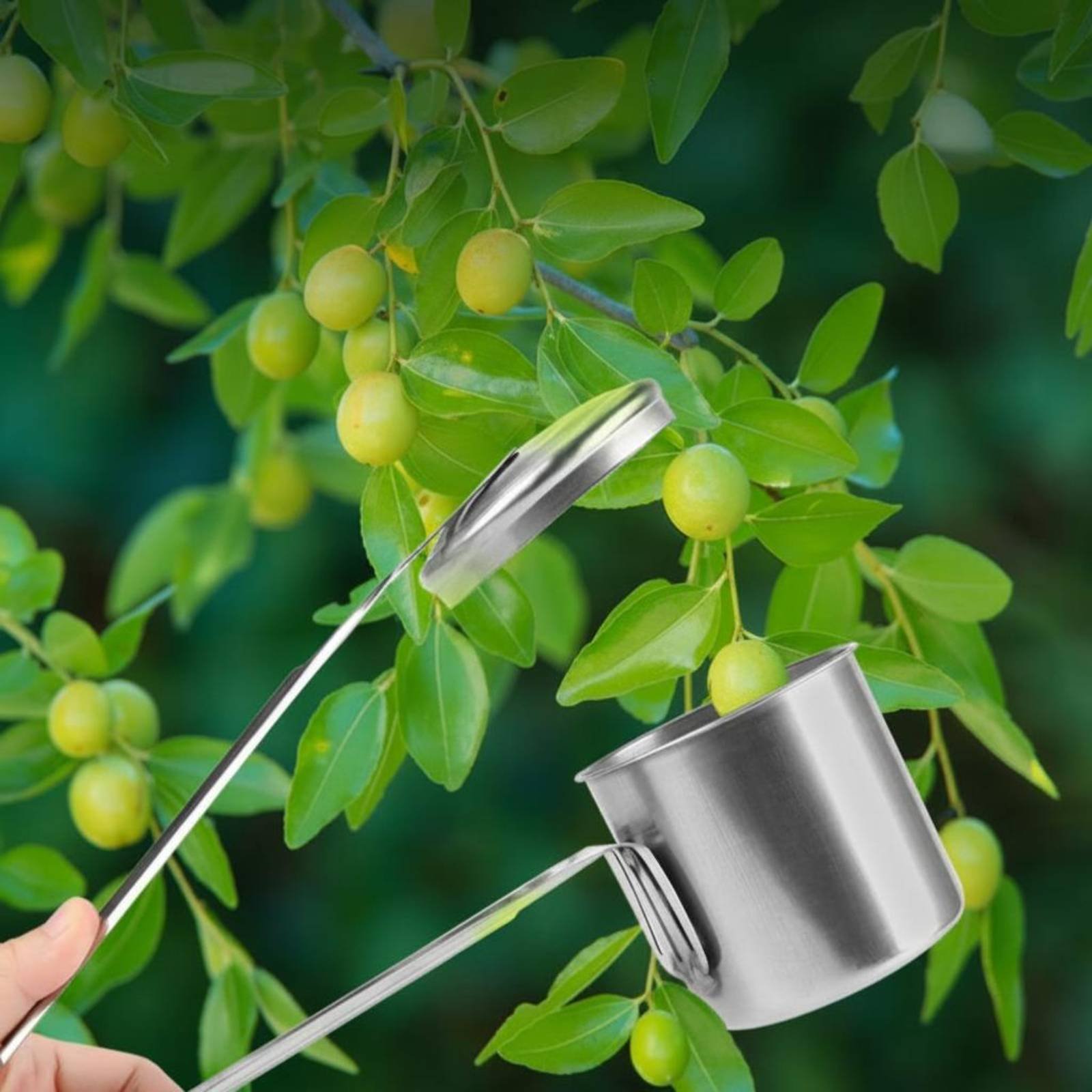 Cup Fruit Picker Stainless Ste - огляд і ціна Gardening Tools And Uses