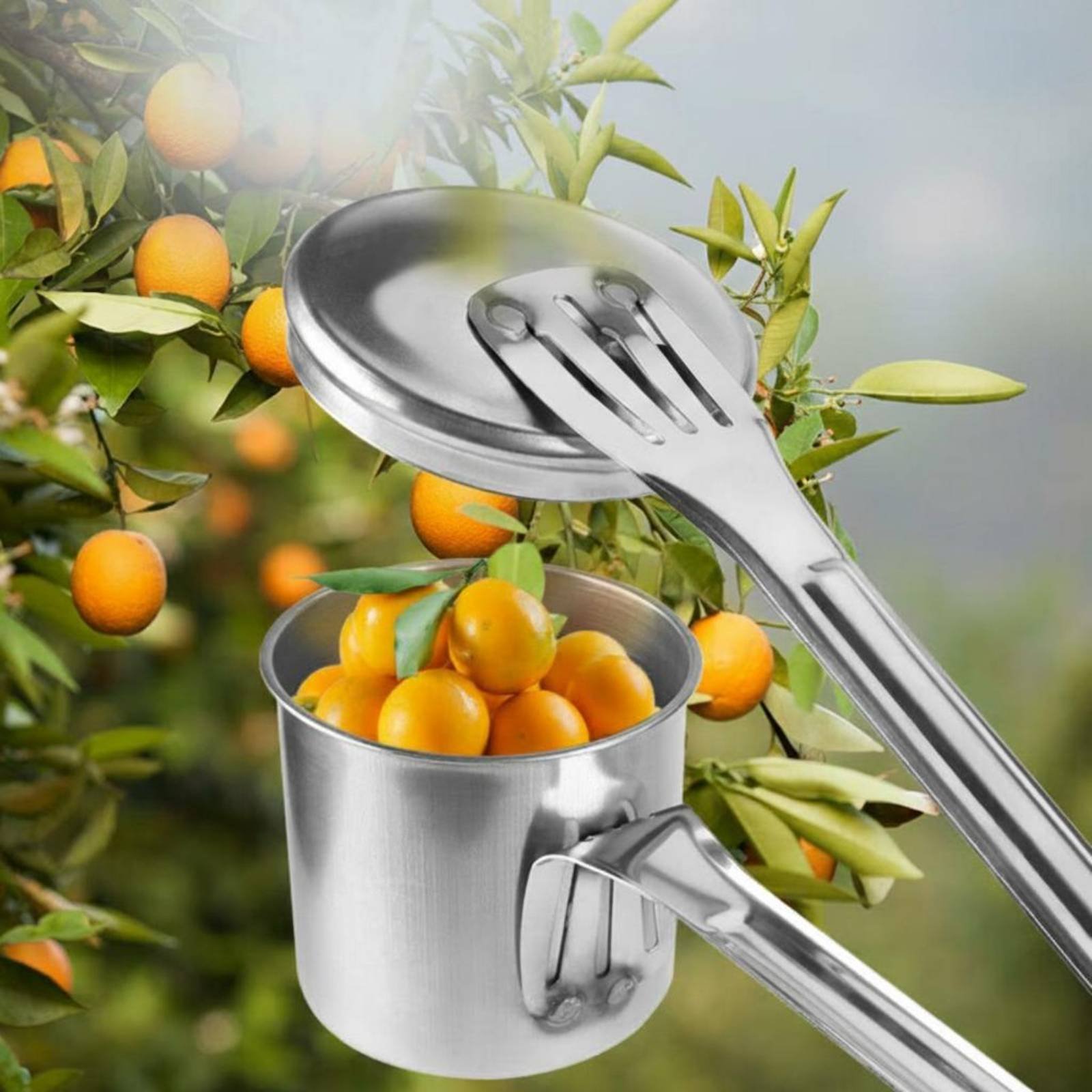 Cup Fruit Picker Stainless Ste - огляд і ціна Gardening Tools And Uses