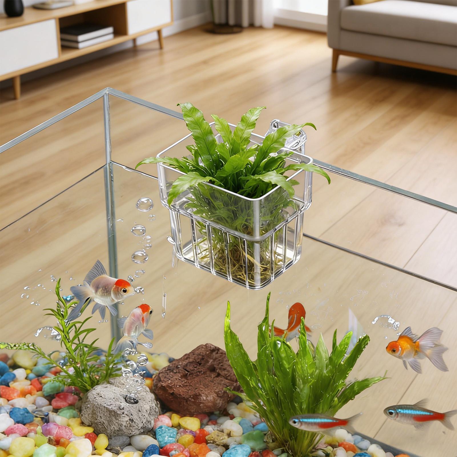 Aquarium Plant Basket Transpar - огляд і ціна Hanging Planter Basket